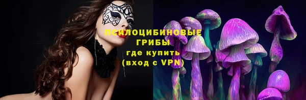 Альфа ПВП Лагань
