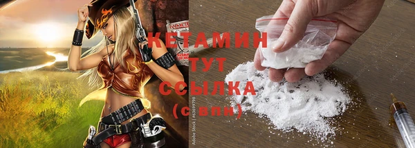 Альфа ПВП Лагань