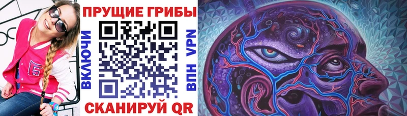 Псилоцибиновые грибы Magic Shrooms ОМГ ОМГ Североуральск