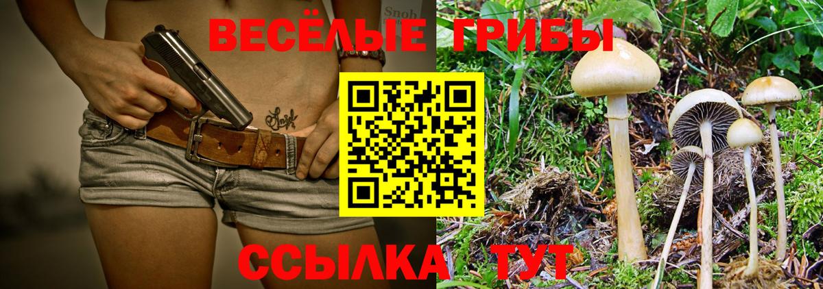Североуральск  Псилоцибиновые грибы ЛСД  Вход с VPN  магазин  наркотиков  Псилоцибиновые грибы GOLDEN TEACHER 