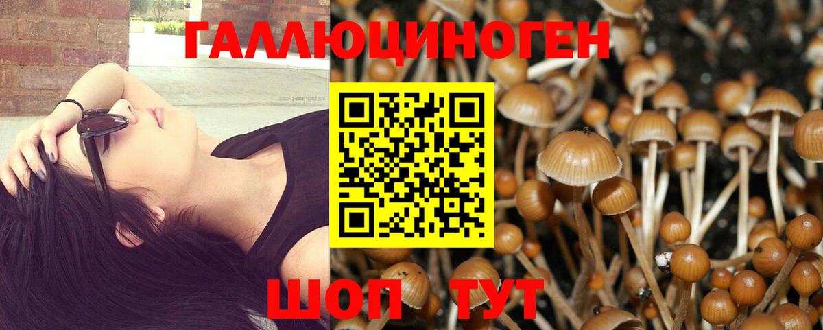 Галлюциногенные грибы MAGIC MUSHROOMS Североуральск