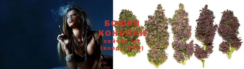 ссылка на мегу зеркало  Североуральск  Марихуана SATIVA & INDICA  цены  